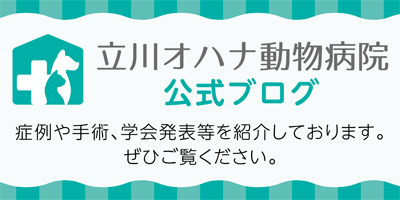 公式ブログ