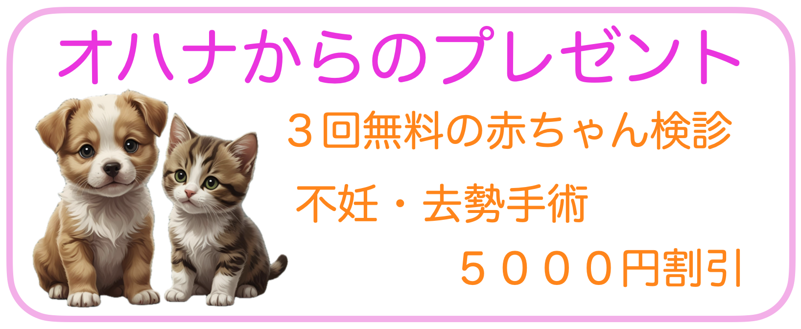 公式ブログ