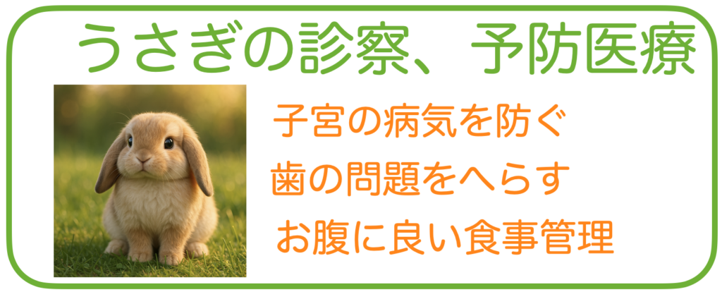 ららぽーと内の動物病院