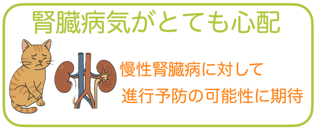 猫の腎臓病のバナー