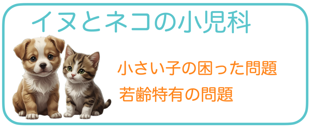 犬と猫の小児科のバナー
