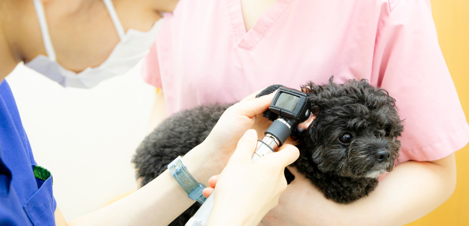 トップヒーロー表示